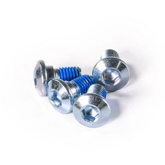 brake disc screw - rear