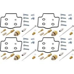 Vergaser Reparatur Kit