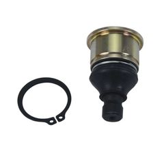 Lower Arm Reconditionning