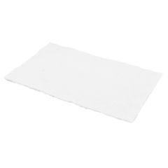 200x320 mm EPAISSEUR 6 mm 550 C PRO SERIES