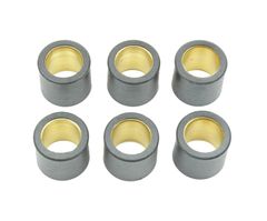Variator 19x17mm 15,5gr - of 6
