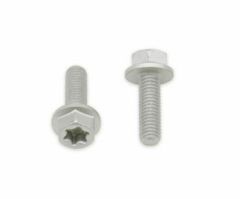 Hexagonale Torx schroefkop M5x0,8x16mm 10 stuks