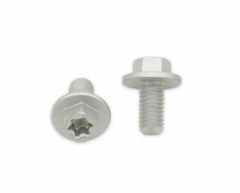 Vis kop hexagonale groot Torx M6x1x12mm 10 stuks