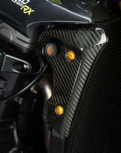 Panneau protection droit gauche carbone brillant