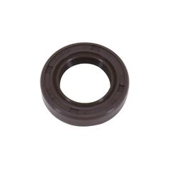 SCOOT 17x28x6 VITON