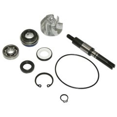 KIT REPARATION POMPE A EAU MAXISCOOTER ADAPTABLE HONDA 125 SH 2001+2012, 125 PANTHEON 2003+, 125 DYLAN 2004+ (KIT) -P2R-