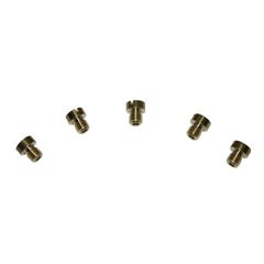 GICLEUR PRINCIPAL PHBG-SHA 5mm P2R N° 80 (SACHET DE 5)
