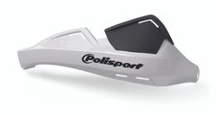Evolution Integral White