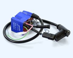 programmable