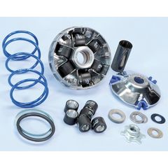 Variator