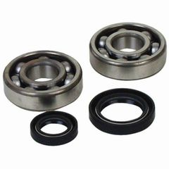 Crankshaft Bearing & Oil Seal Kit