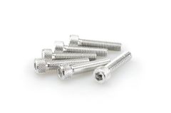 In geanodiseerd aluminium zilver blister 6 allen schroeven M8x35mm
