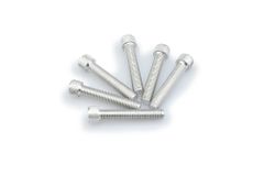 In Geanodiseerd Aluminium Zilver Blister 6 allen schroeven M8x45mm