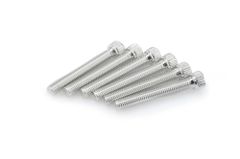 In geanodiseerd aluminium zilver blister 6 allen schroeven M8x55mm