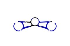 Radikal Bleu