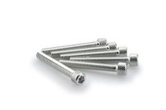 In Geanodiseerd Aluminium Zilver Blister 6 inbusschroeven M6x45mm