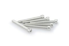 In geanodiseerd aluminium zilver blister 6 allen schroeven M6x55mm
