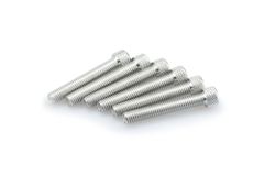 In geanodiseerd aluminium zilver blister 6 allen schroeven M8x50mm