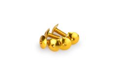 In Geanodiseerd Aluminium Geel Blister 6 schroeven bol M6x15mm