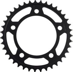 Cour RFE - 1316 39 - BLK JTR1316 - 39 - Black 39 teeth