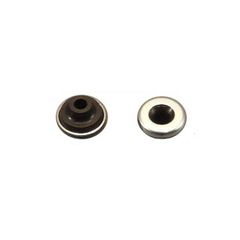 Cylinder Head Cover Screw Seals