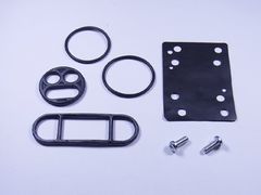 Valve Repair