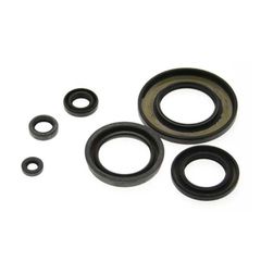 Oil seal kit
