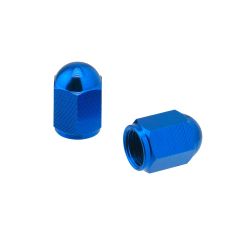 Bouchon Bleu Clair (la paire)