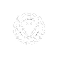 DISQUE DE FREIN AVANT
