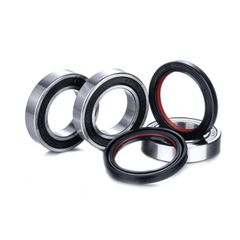 Race Series Premium Rear Kit