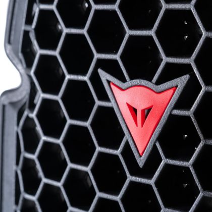 Dainese PRO-ARMOR G1 2.0 Back protector - Black