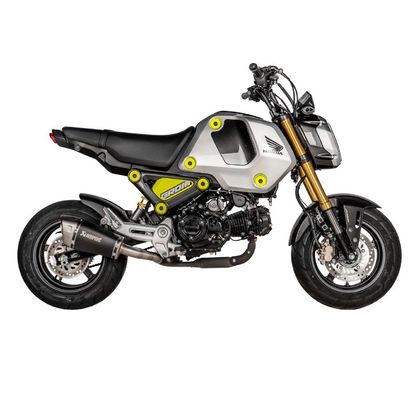 Akrapovic Racing Silencer