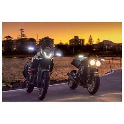 Clignotant Barkbusters pour protéges-mains Universel - Orange