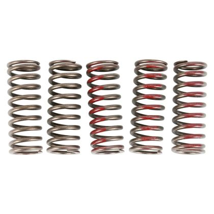 Ressorts d'embrayage Pro Circuit  Ref : PC0151 / 11311906 HONDA 250 CRF 250 R (ME10) - 2010 - 2017