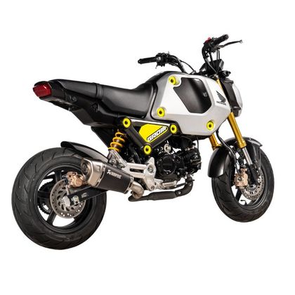 Akrapovic Racing Silencer