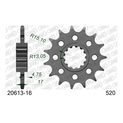 AFAM #520 Type Staal Kettingset