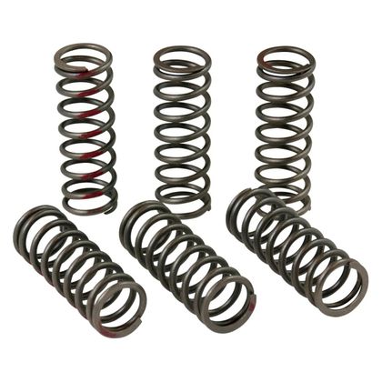 Ressorts d'embrayage Pro Circuit 
