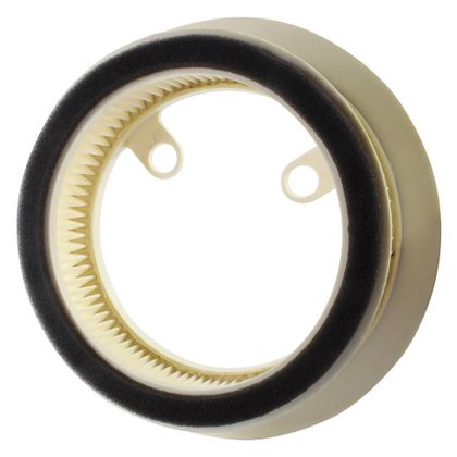 Filtre à air Bike It  Ref : BIK0182 / ARF226 