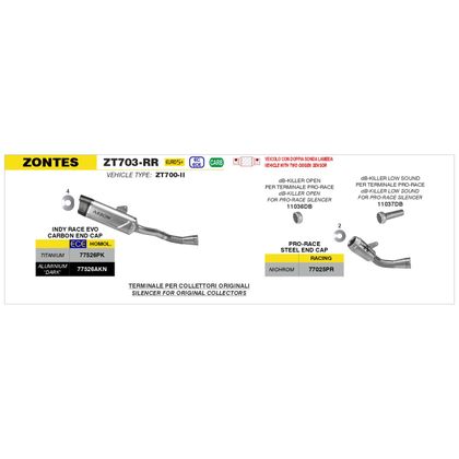 Arrow Pro race Silencer