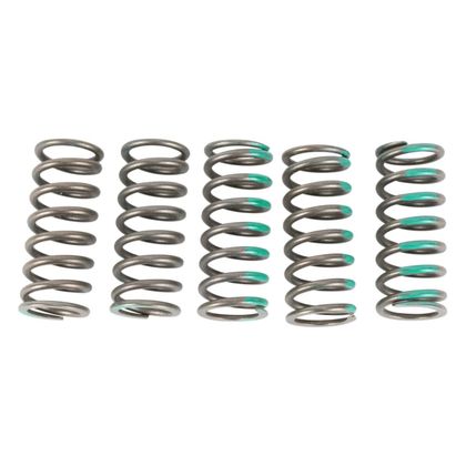 Ressorts d'embrayage Pro Circuit 