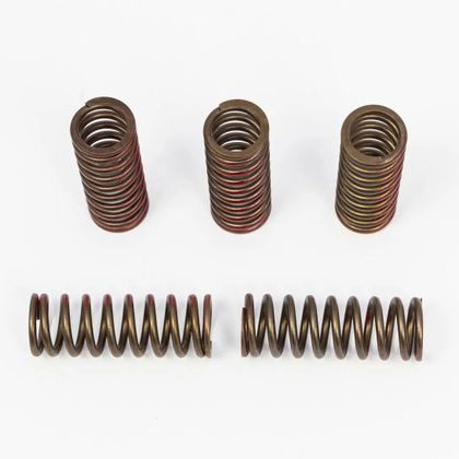 Ressorts d'embrayage Pro Circuit 