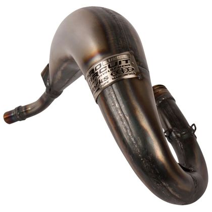 Pro Circuit WORKS Auspuff