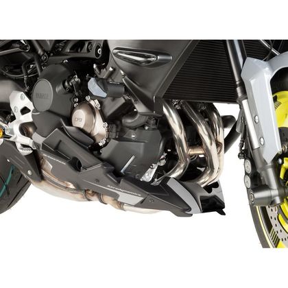 Sabot moteur Puig 