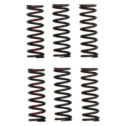 Ressorts d'embrayage Pro Circuit 