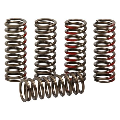 Ressorts d'embrayage Pro Circuit 