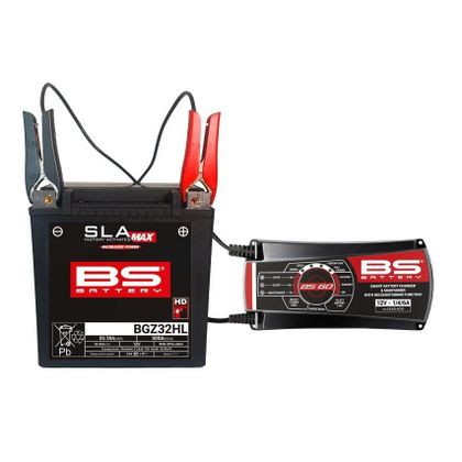 BS Battery BS60 (Säurebatterie) Ladegerät Universell
