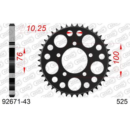Kit chaine AFAM 525 Type Acier