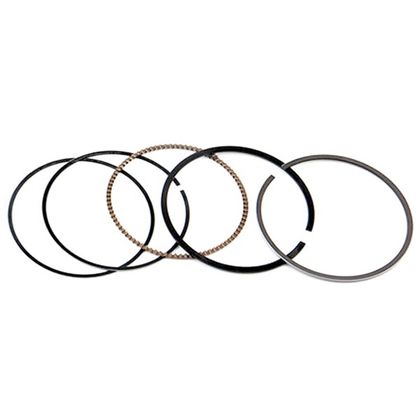 Segments Airsal Ø52,4mm - pour kit 1000052