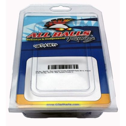 All Balls Carburetor repair kit