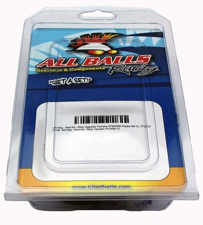 All Balls Kit Radlager